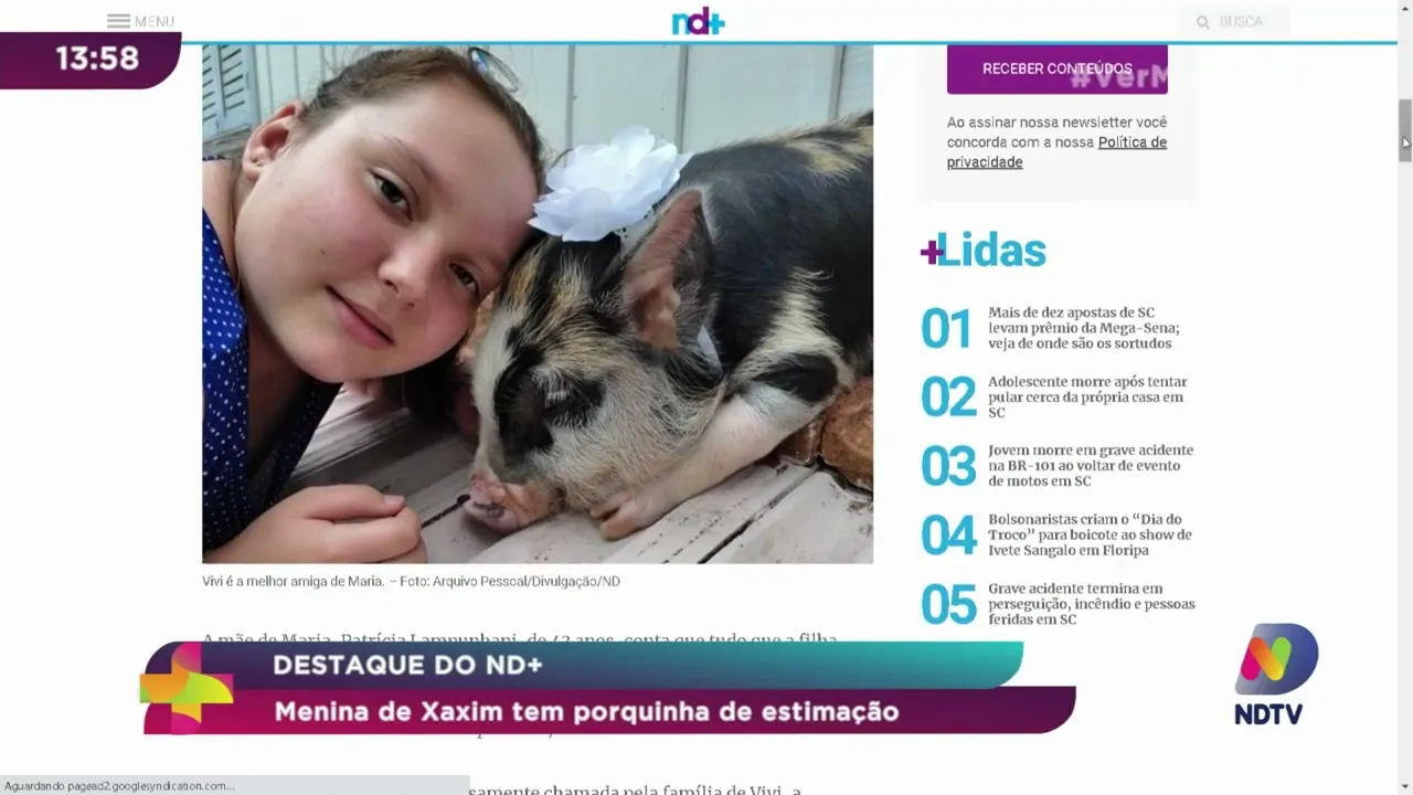 Animais exóticos: Você sabe como cuidar e como ter um?