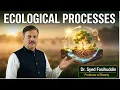 Ecosystem Structure and Functions Components Energy Flow Food Chains Ecological Processes