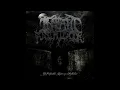 Infant Annihilator - Decapitation Fornication