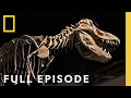 Download Lagu Geheimen van de Dinosaurussen: Het Echte Jura-Amerika (Volledige Aflevering) | De Oceanen Leegzuigen