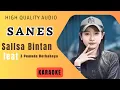 Download Lagu Sallsa Bintan feat 3 Pemuda Berbahaya - Sanes Karaoke | No Vocal | High Quality Audio |