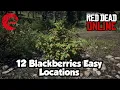 Blackberries Locations rdr2 Online - Red Dead Online Blackberries Location Guide