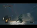 DARK SOULS REMASTERED without wiki a multi-headed lake monster no hit