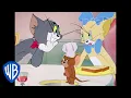 Tom Jerry Tom s Dinner Date Classic Cartoon WB Kids