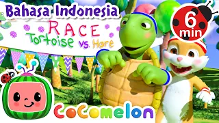 kura kura dan kelinci the tortoise and the hare cocomelon bahasa indonesia lagu anak anak