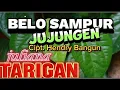 Lagu juliana tarigan - belo sampur jujungen (Cipt Hendry Bangun