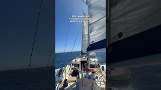 Le bateau te dit : NON ça ne va pas bouger , JE GÈRE … TU PARLES QUEL MENTEUR CELUI LÀ