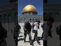 Download Lagu pray for 🇵🇸🤲Palestine 😥 .....#love #music #cover #mosqueaqsa #shortsvideo #slowednaat