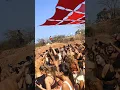 Download Lagu Best Goa party at Mandrem Jungle #psytrance #rave #trance #music #festival #psychedelic #dance #girl
