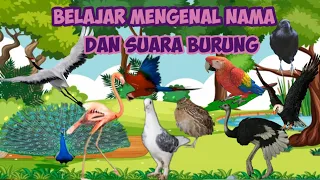 Download Belajar Mengenal Nama dan Suara Burung || Nama nama Burung || MP3