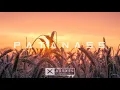 Download Lagu SYSY FT. AKON • FREEDOM - REMIX 2024