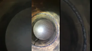             دندنها