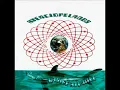 Aterciopelados ~ El Estuche (Single Song) Full Audio + Letra