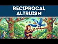 Reciprocal Altruism Explained in 3 Minutes