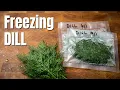 Dill Freezing Hack Which Method Preserves Better