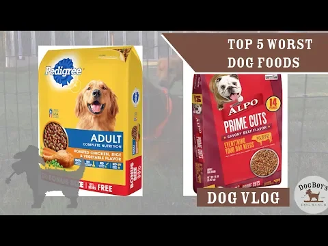 Download MP3 The 5 WORST Dog Foods | Dog Food \u0026 Dog Wellness | DogBoy's DogVlog