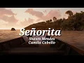 Download Lagu OTSVideo - Señorita - Shawn Mendes, Camila Cabello