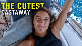 185. Rescue Starving Beach Puppy in the Caribbean | Sailing Sunday