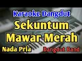 SEKUNTUM MAWAR MERAH - KARAOKE || NADA PRIA COWOK || Dangdut Band || Elvy Sukaesih || Live Keyboard