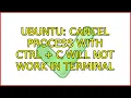 Ubuntu Cancel Process with Ctrl C will not work in Terminal