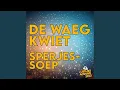 Lagu De Waeg Kwiet (feat. Sperjessoep)