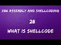 x86 Assembly and Shellcoding - 28 What is Shellcoding