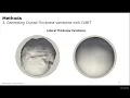 Download Lagu Using Coreform Cubit to identify malformed elements