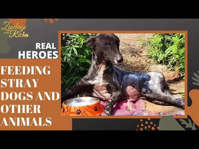 Kaveri Rana Bhardwaj