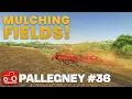 Download Lagu MULCHING, HARVESTING \u0026 SPREADING LIME!! Pallegney FS25 Timelapse Farming Simulator 25 Ep 36