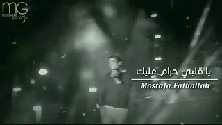 ولسه بتحبه يا قلبي لايف من حفله          دندنها