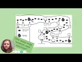 Grade 1 Unit 7 Module 2 Session 4