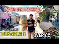 Download Lagu HUNTING GIRINGAN PIGEONS AT LEGI PARAKAN MARKET FLIGHT TEST PIGEONS OVER CC BUNGKUS PART 2