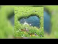 Mitrran Nu - The PropheC (sped up)