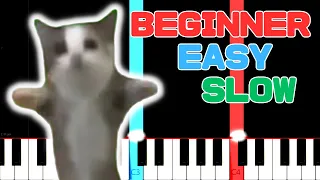 Download Happy Cat Meme  - EASY SLOW BEGINNER PIANO TUTORIAL LESSON for Kids Adults with Piano notes #1 MP3