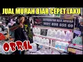 Download Lagu CEK HARGA TERBARU ANAKAN ARWANA PREDATOR TANKMATE TERMURAH TERLENGKAP PASAR IKAN HIAS JATINEGARA