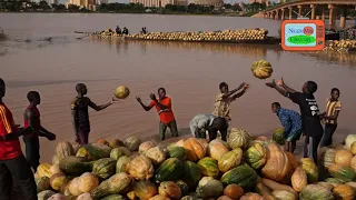 umar sanda part 1 piano niger kawashani