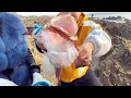 Download Lagu Monkfish with a huge mouth, Xiao Zhang wants to see if the mouth of the fish can fit her head
