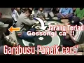 Lagu gambus Jeneponto || Keren || lucu