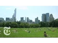 36 Hours in Central Park New York The New York Times