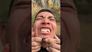                                                               دندنها