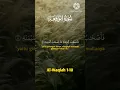 Download Lagu Murottal Quran Surah Al-Waqiah ayat 1-10 merdu abu usamah