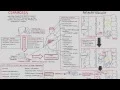 Liver Cirrhosis SandS Pathophysiology Investigations Management