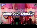 Lagu DJ DROP ENAKEUN X MASHUP V143 SOUND JJ KANE COCOK BUAT DIMOBIL FULL BASS VIRAL TIKTOK TERBARU 2025 🎧