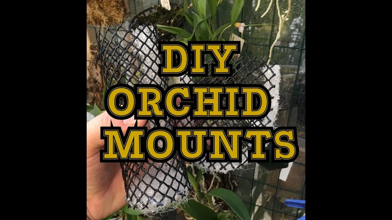 MUCH REQUESTED ORCHID MOUNTS: HOW TO MAKE AWESOME ORCHID BASKET MOUNTS FOR CHEAP