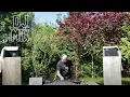 Download Lagu DJ Dave Seaman | Summer DJ MIX