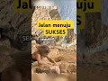 Download Lagu Er zijn veel wendingen op de weg naar succes. Als we ze kunnen overwinnen, zal het doel worden be...