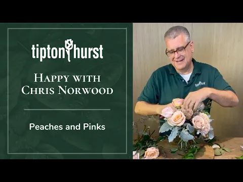 Download MP3 Happy with Chris Norwood: Playing with Peaches and Pinks