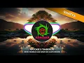 Natoxie X Timberlee - BMW Bubble Like Soup (Dj Lub's Remix)