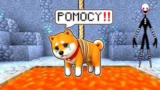 MÓJ PIESEK SHIBA JEST W NIEBEZPIECZEŃSTWIE i POTRZEBUJE POMOCY w Minecraft!