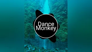 Download DJ dance monkey (terbaru 2020) MP3